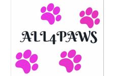 Logo for All4Paws Logo for All4Paws