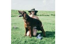 Logo for Home from Home Dog Boarding Walking and Day Care Logo for Home from Home Dog Boarding Walking and Day Care