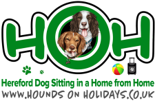 Logo for Hounds on Holidays Logo for Hounds on Holidays